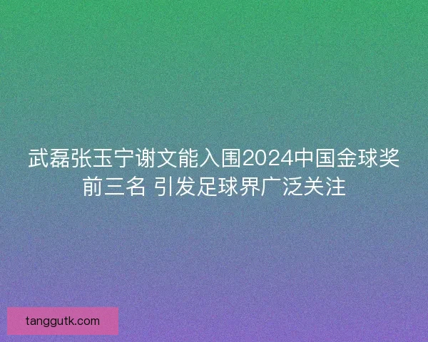 武磊张玉宁谢文能入围2024中国金球奖前三名 引发足球界广泛关注