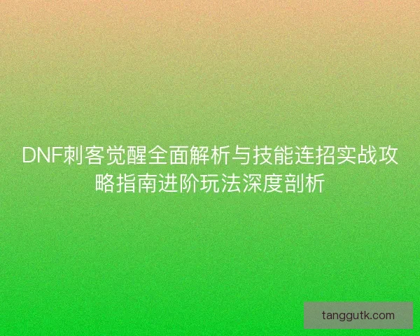 DNF刺客觉醒全面解析与技能连招实战攻略指南进阶玩法深度剖析