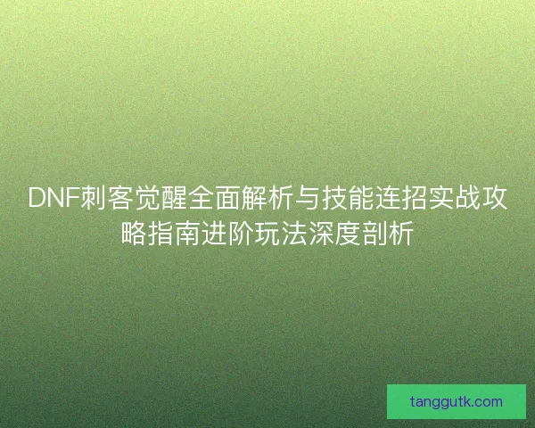 DNF刺客觉醒全面解析与技能连招实战攻略指南进阶玩法深度剖析